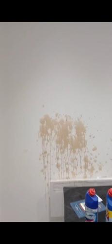 coffee-stain