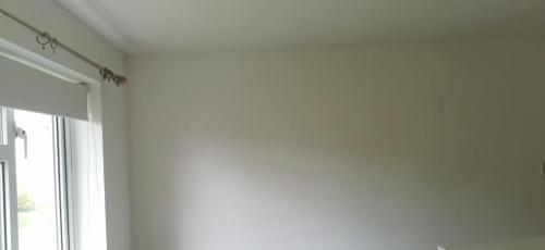 bedroom-painted